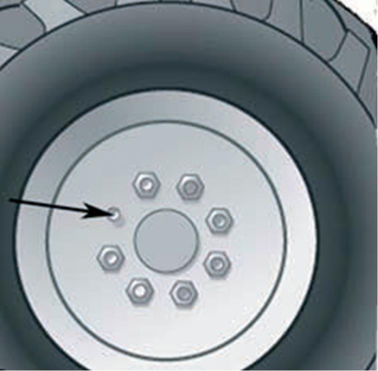 Гостехнадзор Экзамен