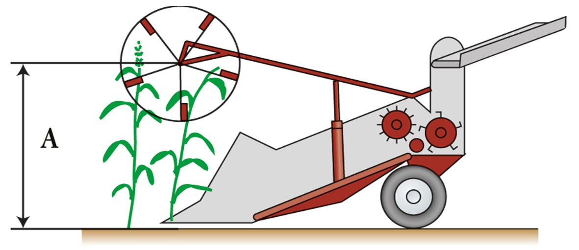 Гостехнадзор Экзамен